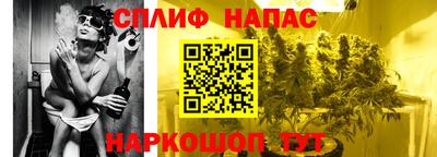 гашик Тара