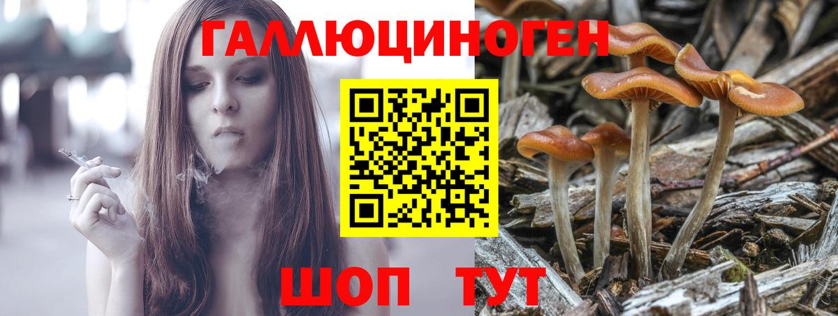 Псилоцибиновые грибы Cubensis  Вход с VPN  Псилоцибиновые грибы Psilocybine cubensis  Чайковский 